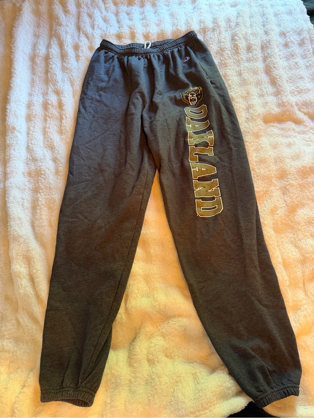 Champion Oakland University Sweatpants